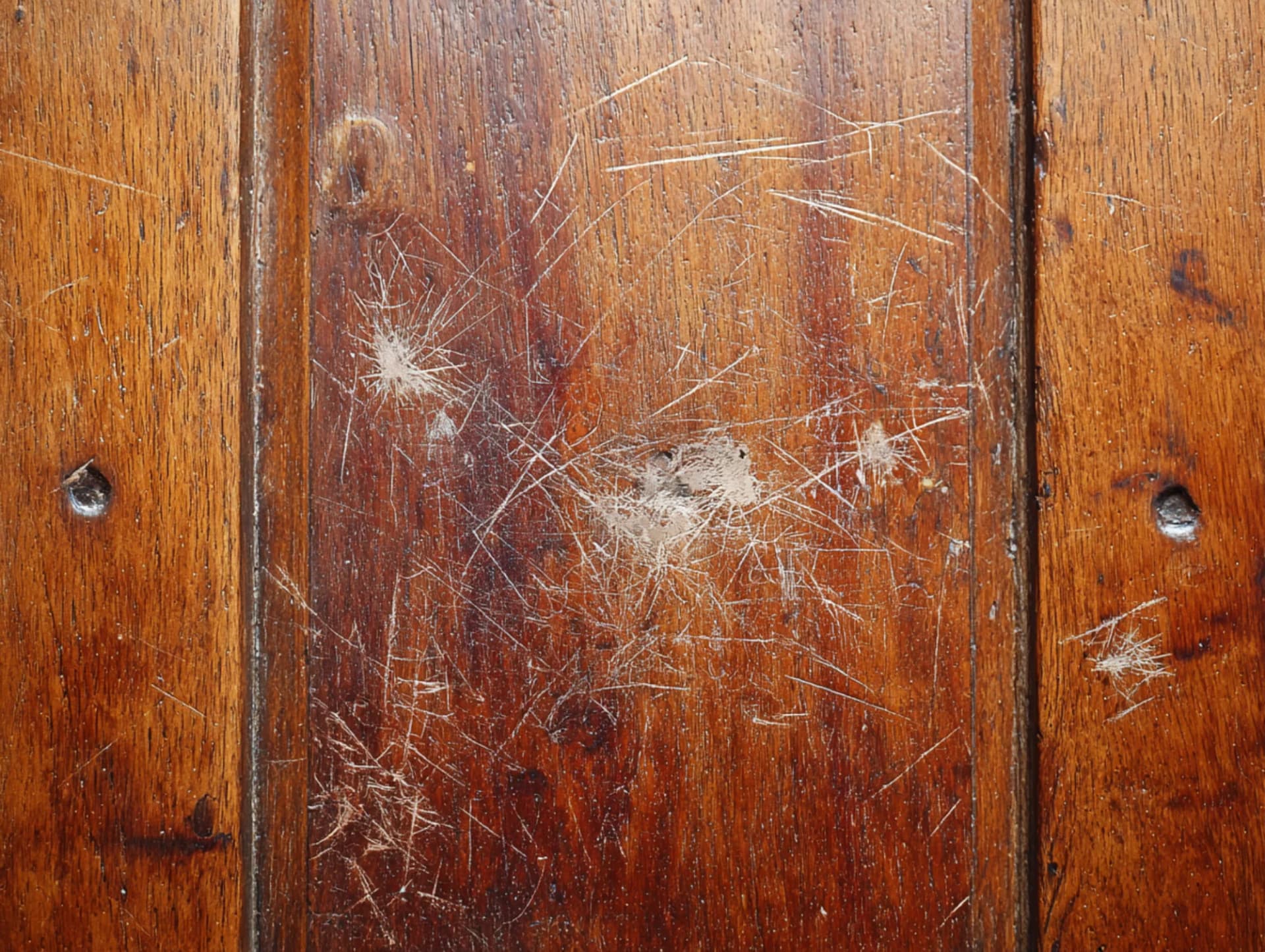 Pet Scratch Door Repair before repair